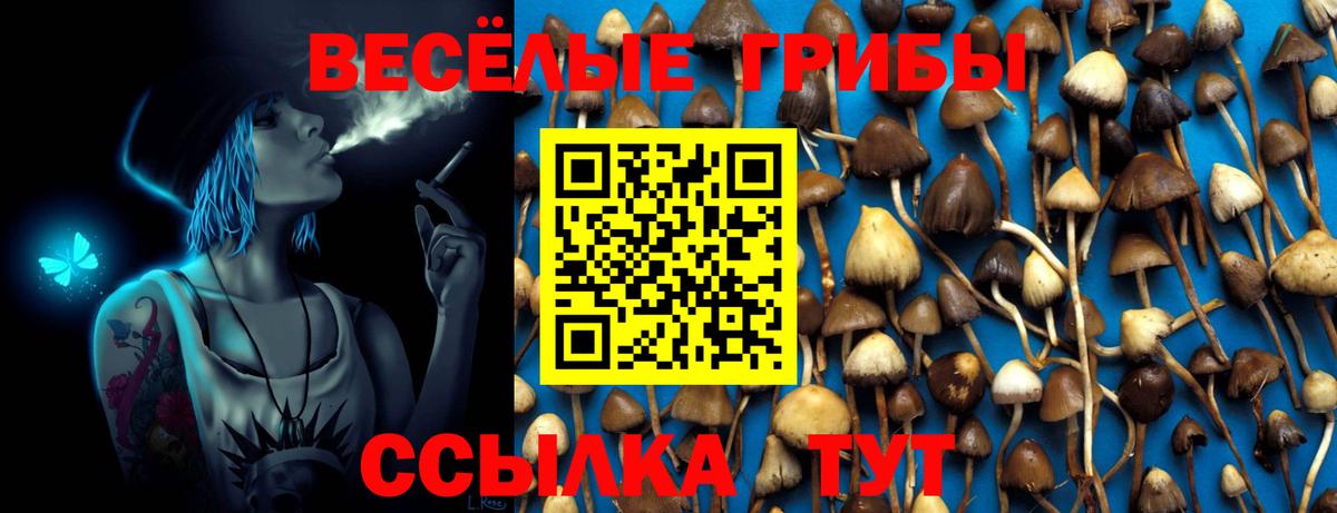 Галлюциногенные грибы Magic Shrooms Бирск